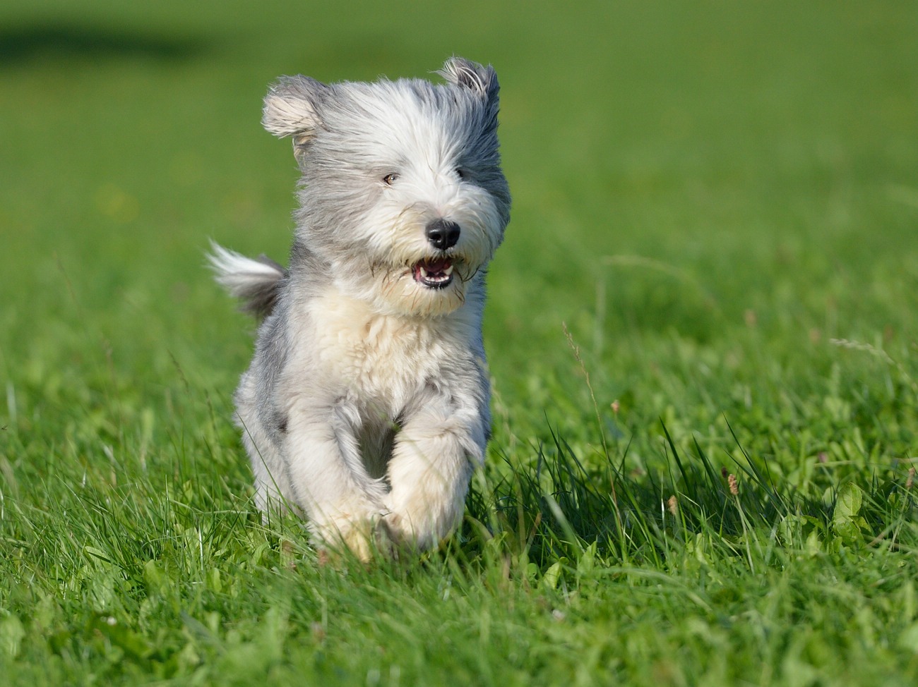 _DSC_3746.jpg