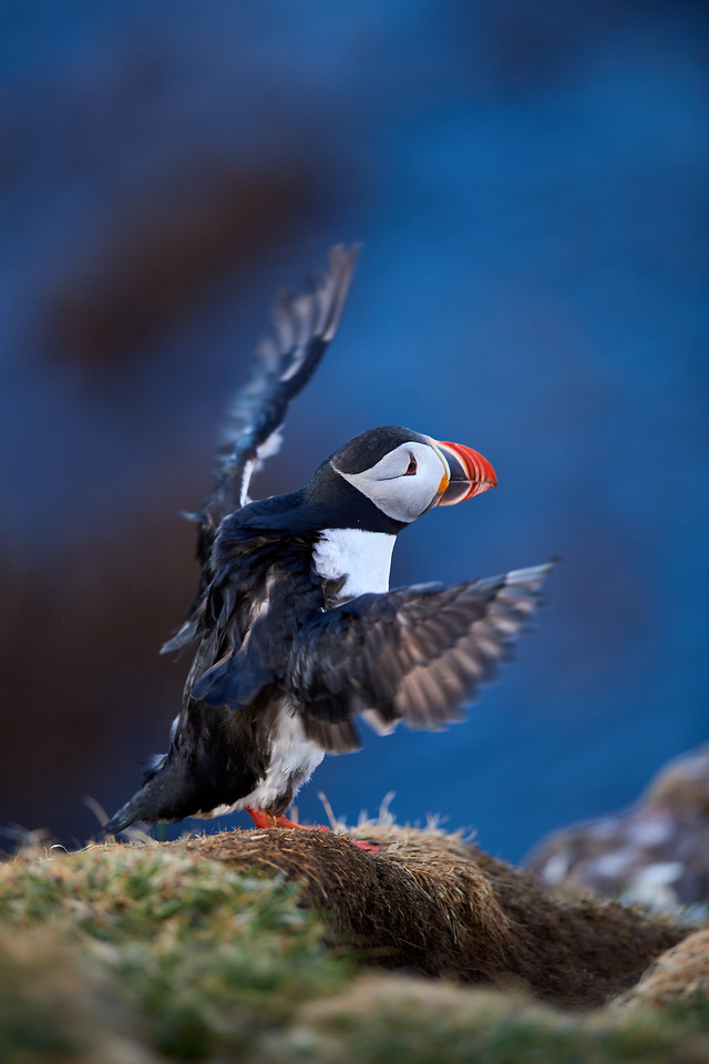 DSC_6620-X2.jpg
