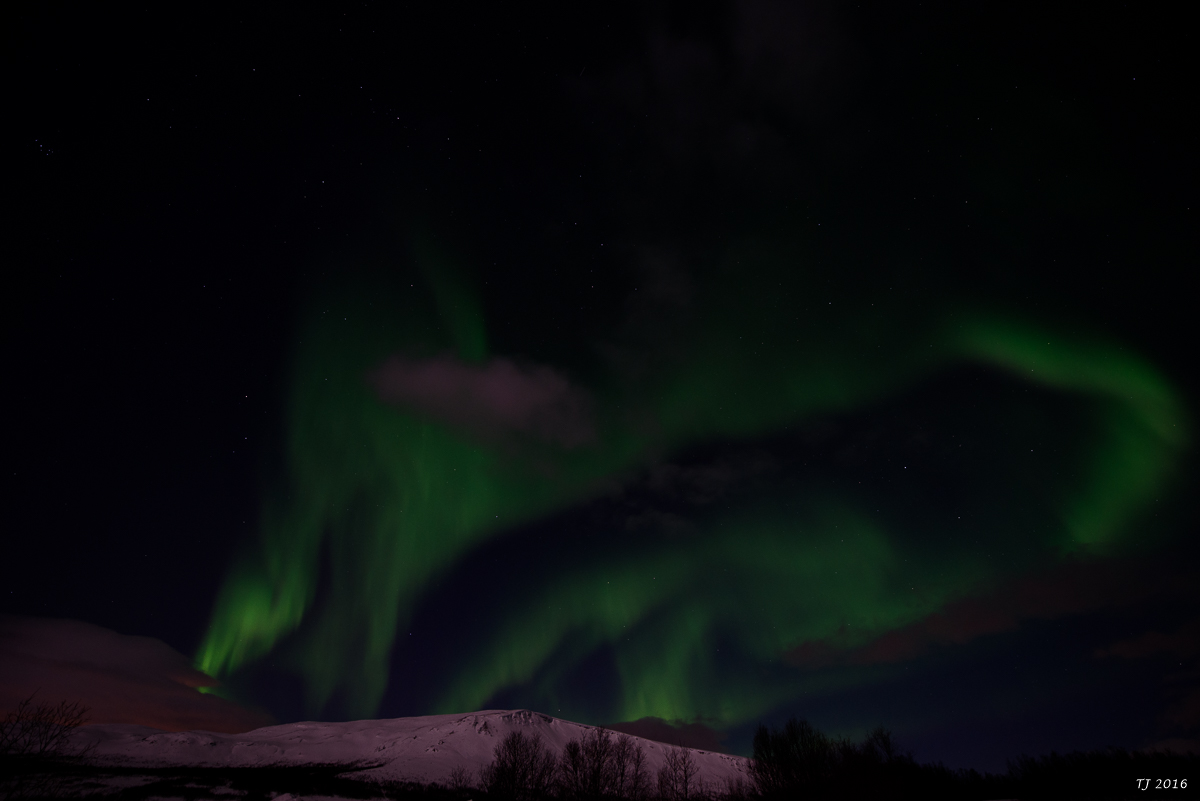 DSC_2601.jpg