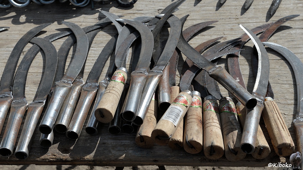 Das Bild zeigt eine Reihe von Sicheln auf einem Holztisch. Auf der linken Seite sind Sicheln mit einen angeschweißten Rohrstück als Griff. Auf der rechten Seite haben die Sicheln einfache Holzgriffe mit herausstehenden Nägeln. Ein Schaft hat sogar einen Barcode.