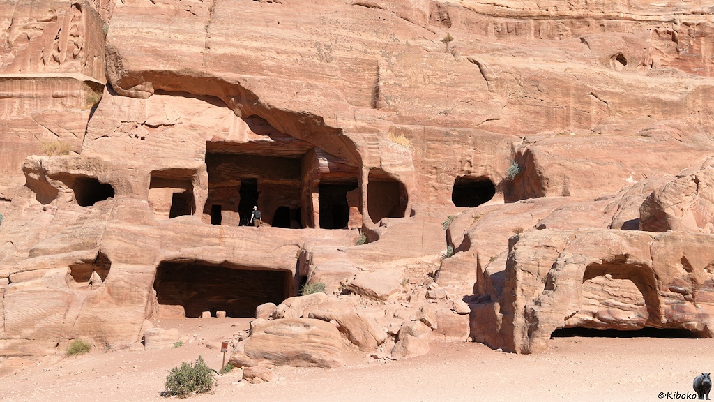 Durchlöcherte Felswand