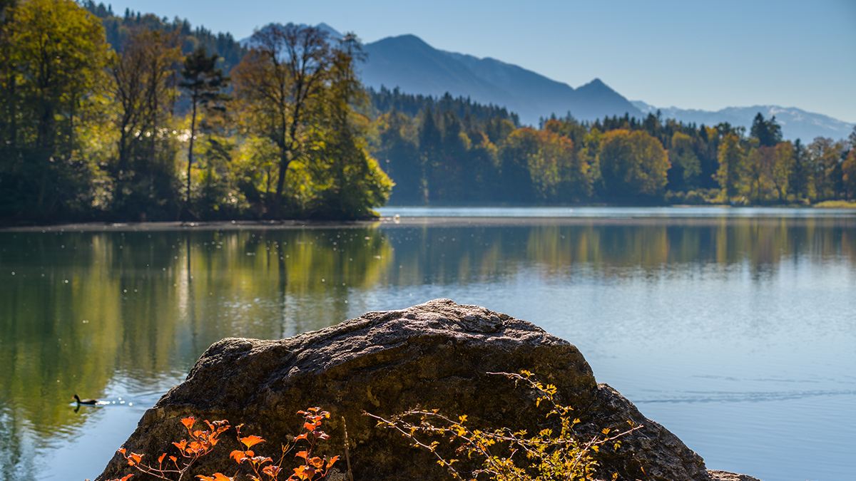 20211018_NZ7_1478wNF.jpg