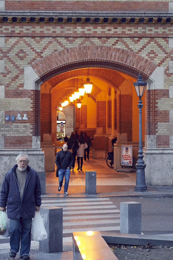 5H0_0312.jpg
