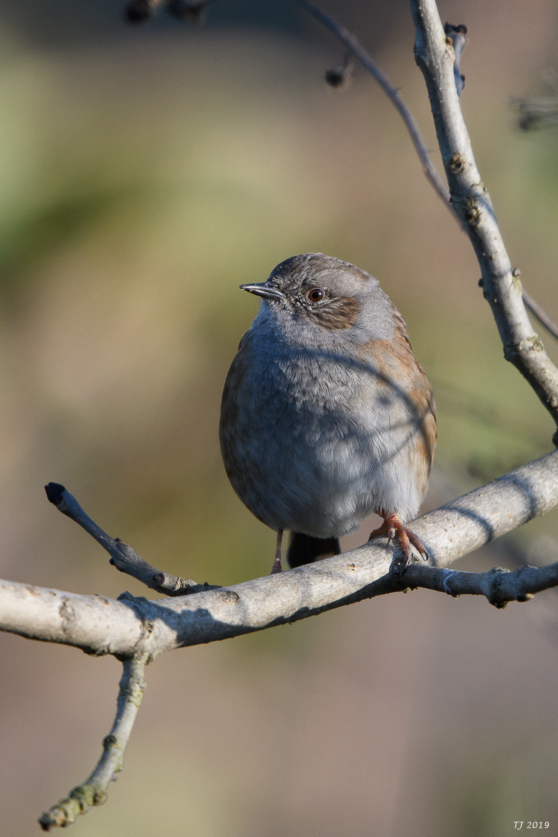 DSC_7164.jpg