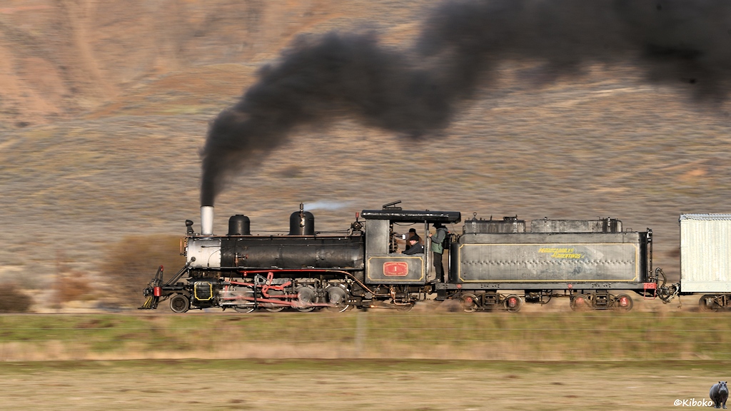 s587_bElMaiten_1_5212.jpg