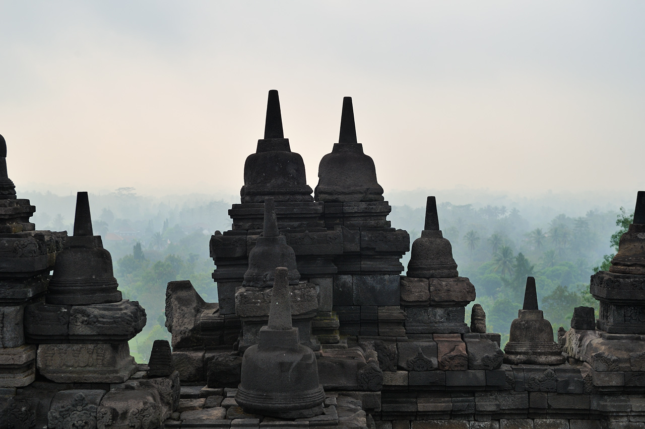 _DSC2925_web.jpg