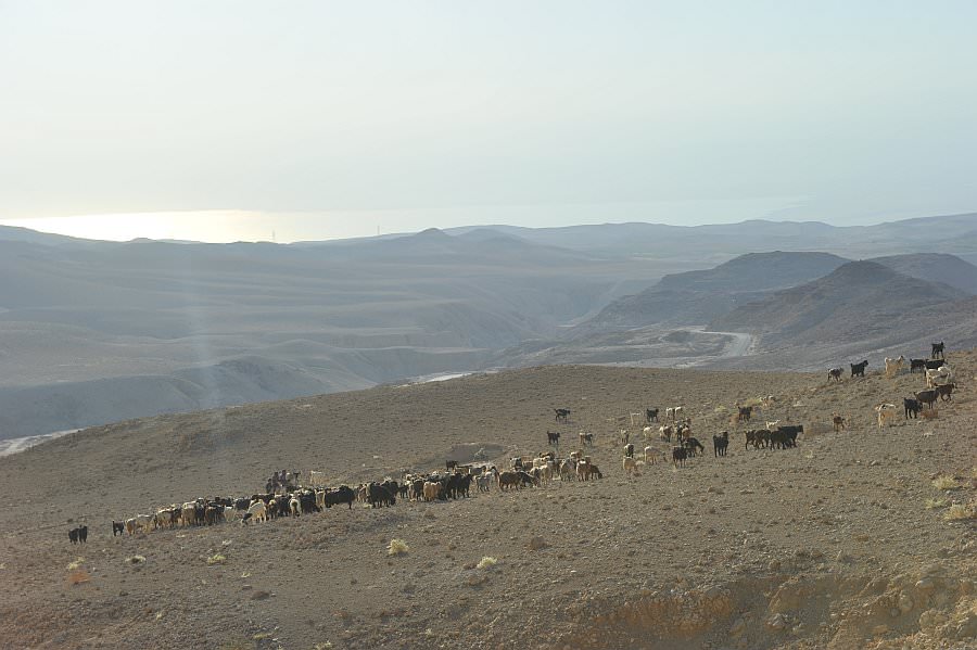 jordanien13_111.jpg