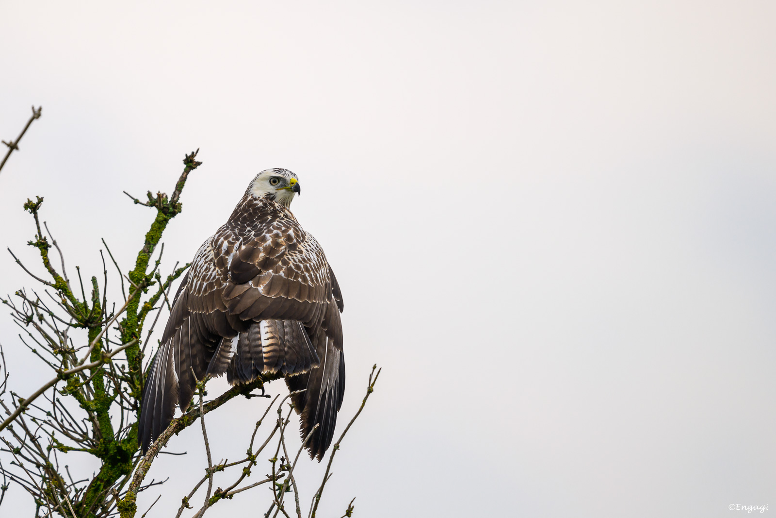 DSC_0766.jpg