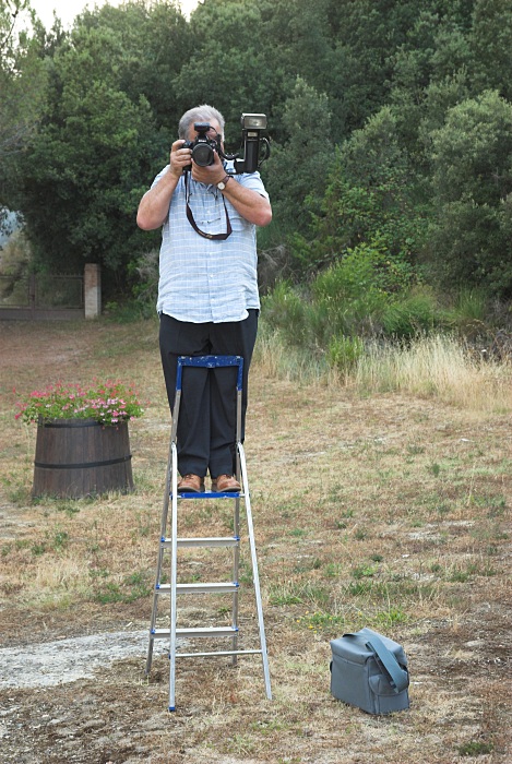 nff_itfotograf.jpg