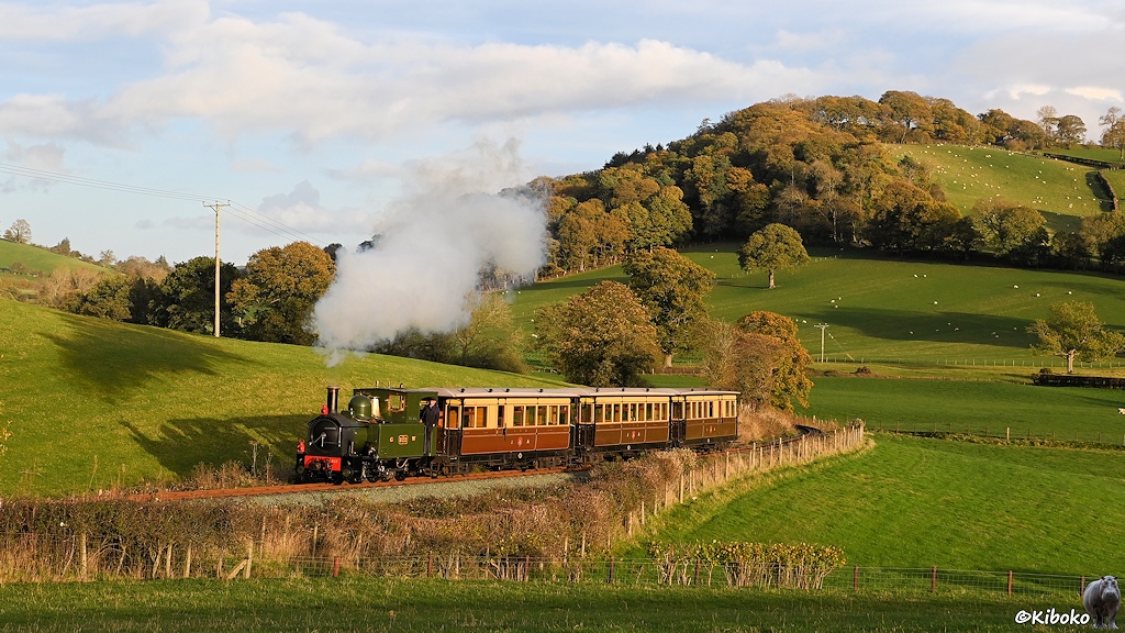 Das Bild zeigt eine dunkelgrüne Dampflok mit drei braun-beigen Personenwagen im Abendlich in einer Hügellandschaft mit Schafweiden und herbstlichen Laubbäumen.