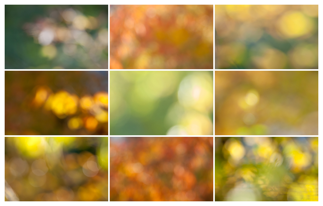 herbstbokeh001.jpg