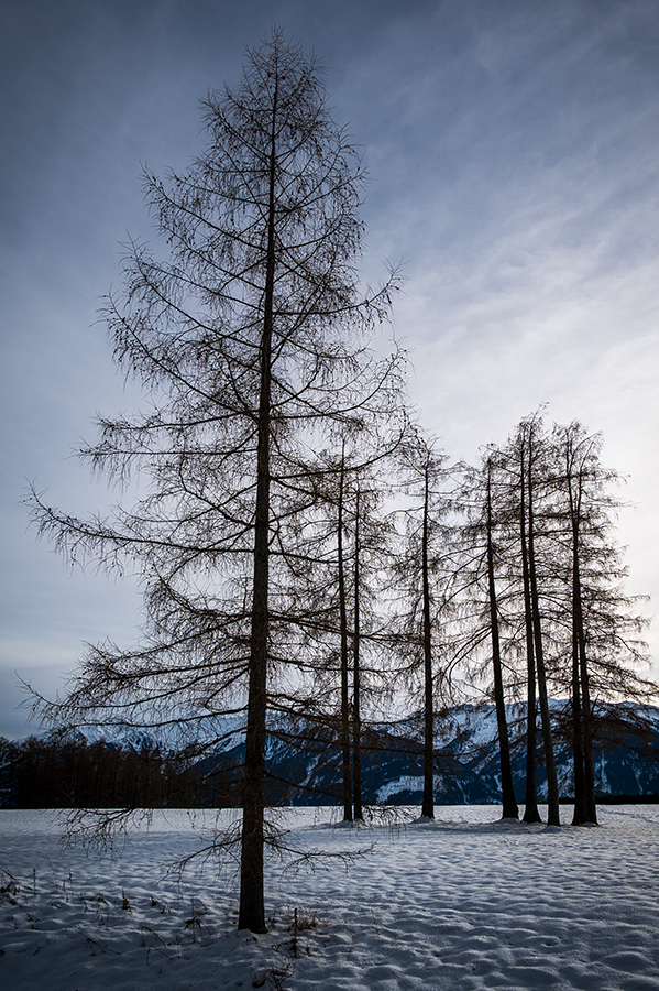 20201220_NZ6_2404NF.jpg
