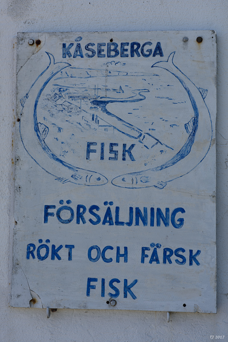 DSC_7617.jpg