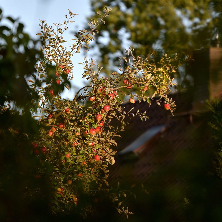 39518024lr.jpg