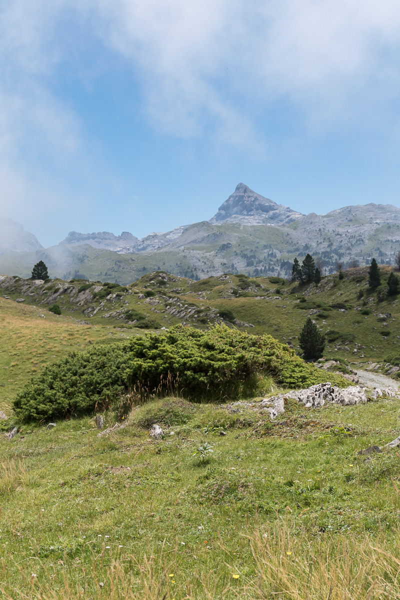 GR10_2017_07_0287.jpg