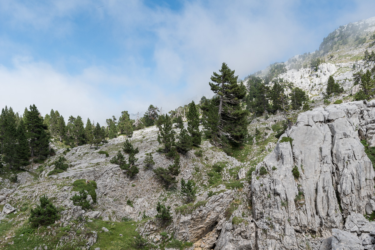 GR10_2017_07_0294.jpg