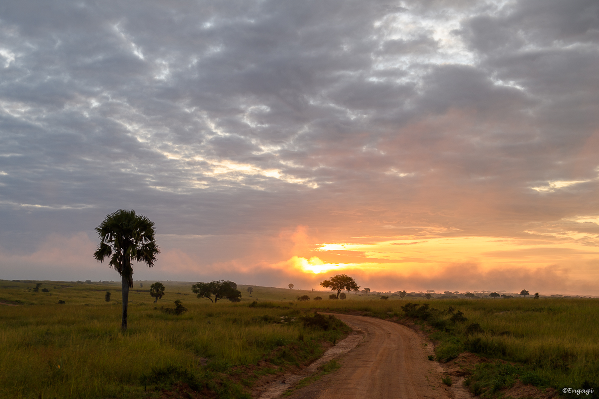 Uganda%200465.jpg