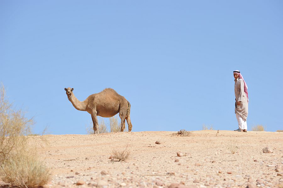 jordanien13_285.jpg