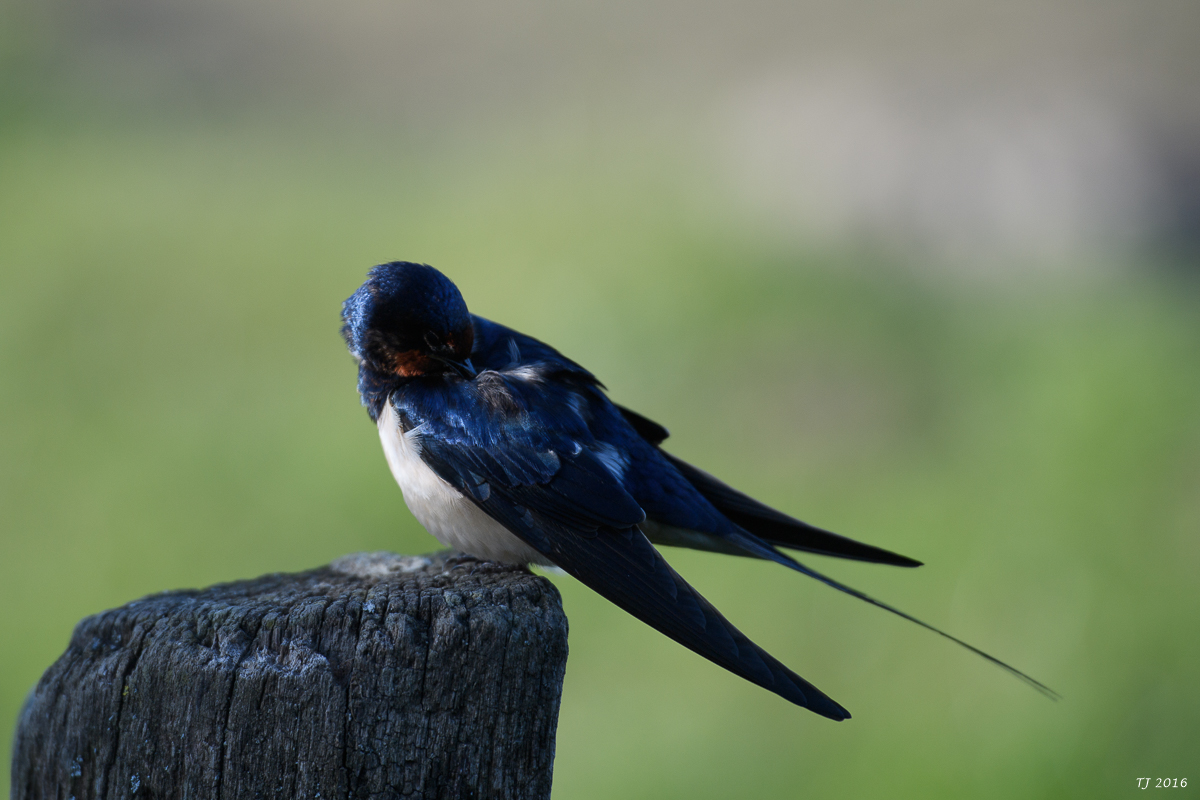 DSC_1856.jpg