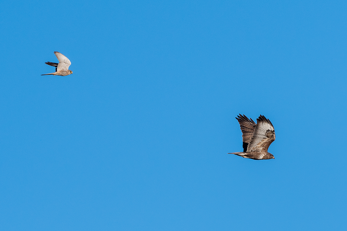 20220114_D500_1361NF.jpg