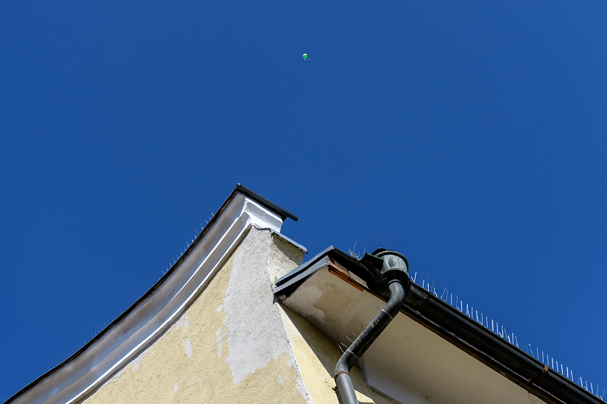 20170923_D500_1725vNF.jpg