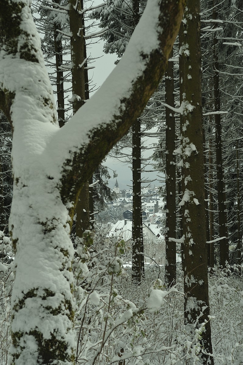 CK.R._DSC_2536.jpg