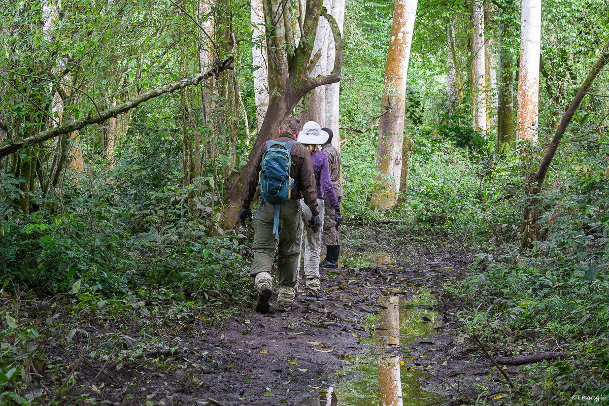 Uganda%201204.jpg