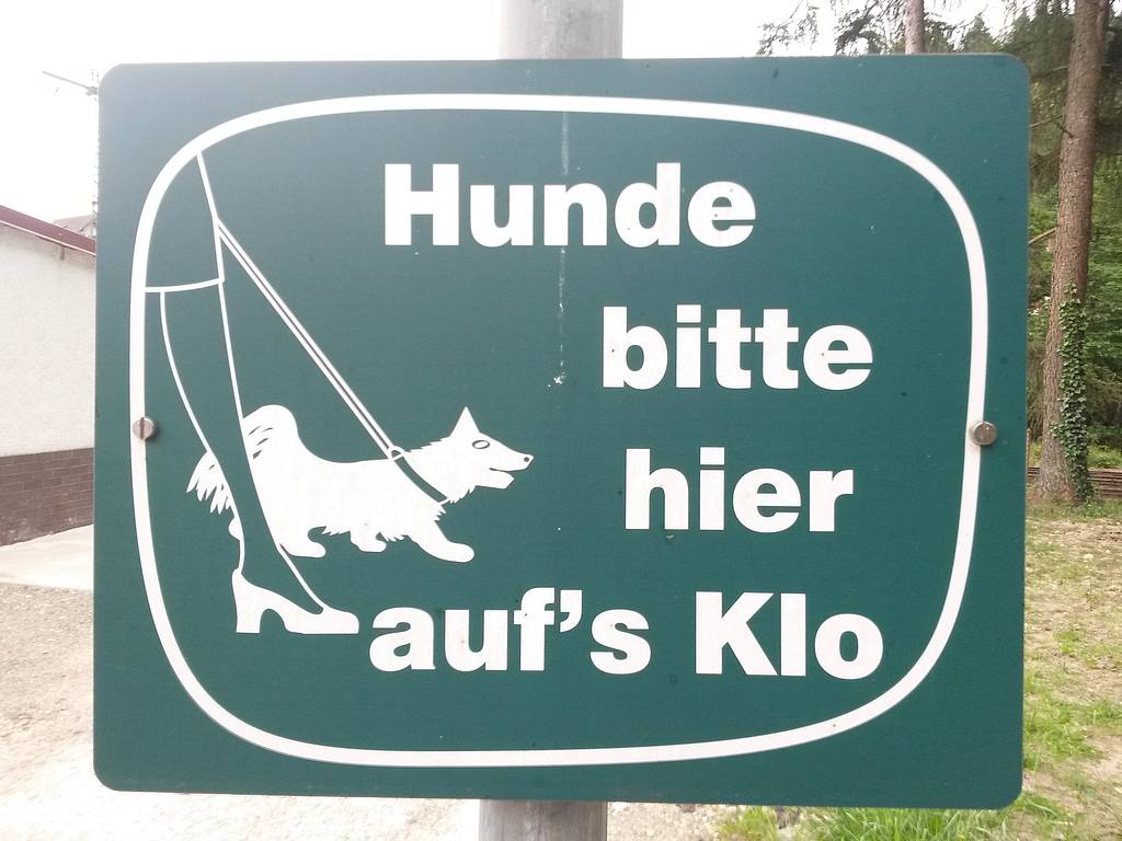 Hunde.jpg