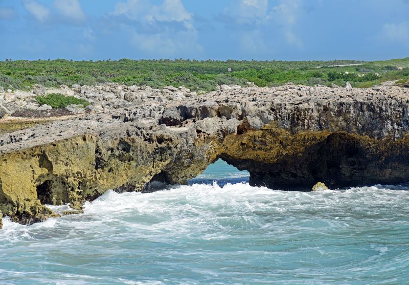 d75_0154.jpg