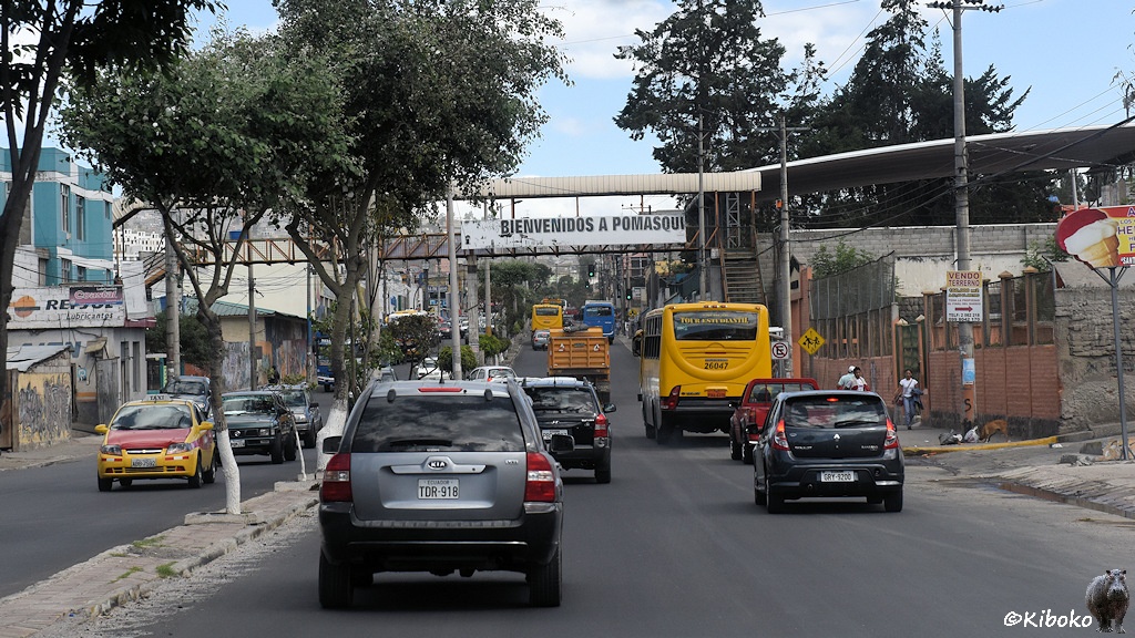 Das Bild zeigt eine dichtbefahrene vierspurige Straße mit Mittelstreifen. Auf dem Mittelstreifen stehen Bäume. Eine Fußgängerbrücke mit Blechdach überbrückt die Straße.