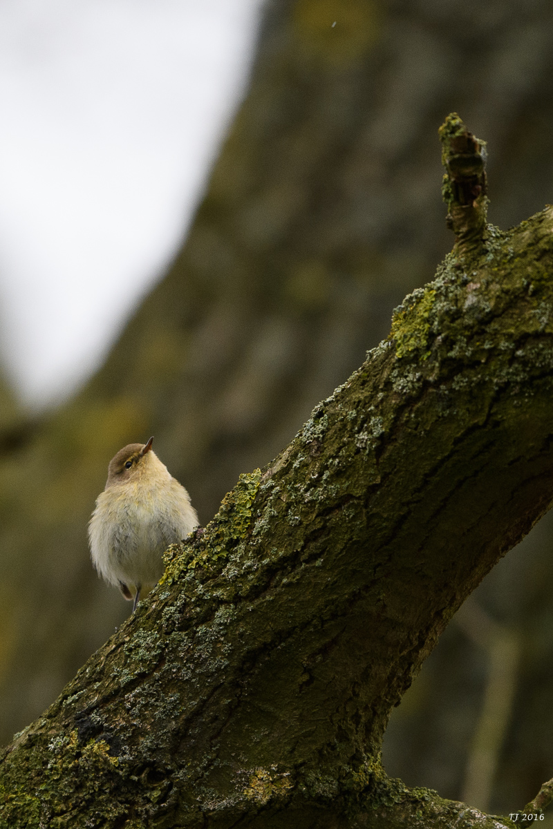 DSC_1560.jpg
