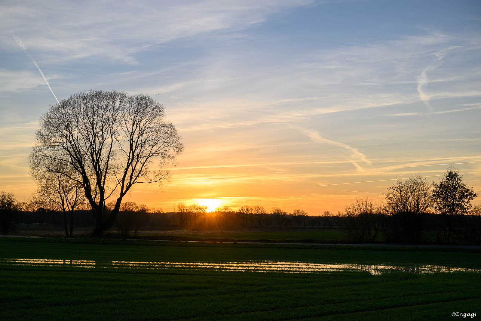 DSC_0790.jpg