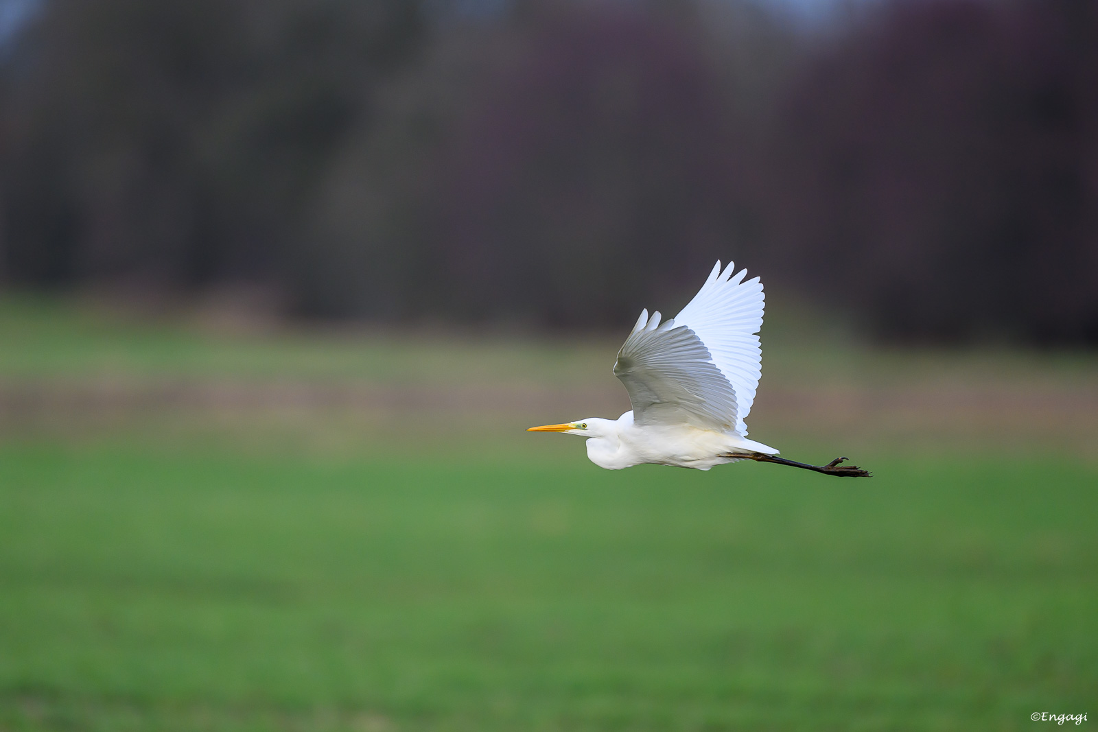 DSC_4893.jpg