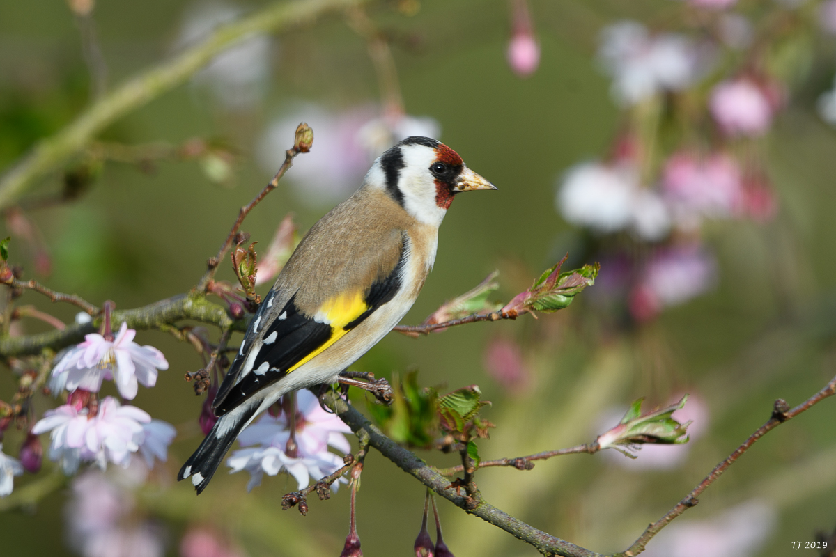 DSC_7476.jpg