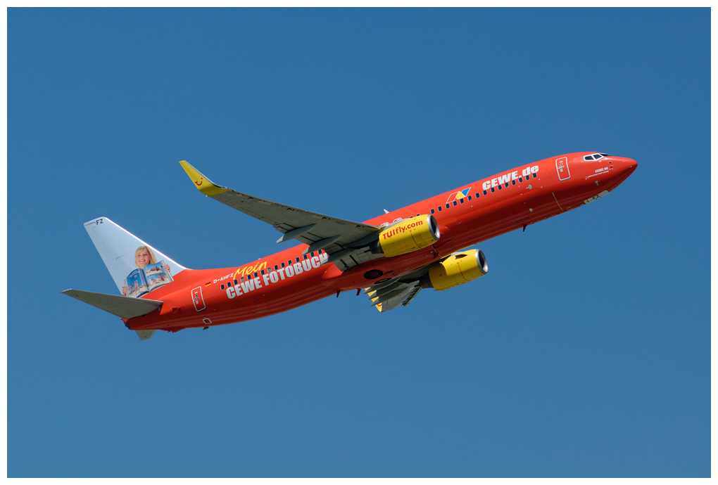 cewetuifly.jpg