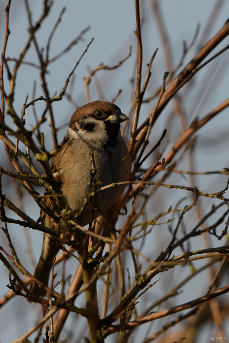DSC_0562.jpg
