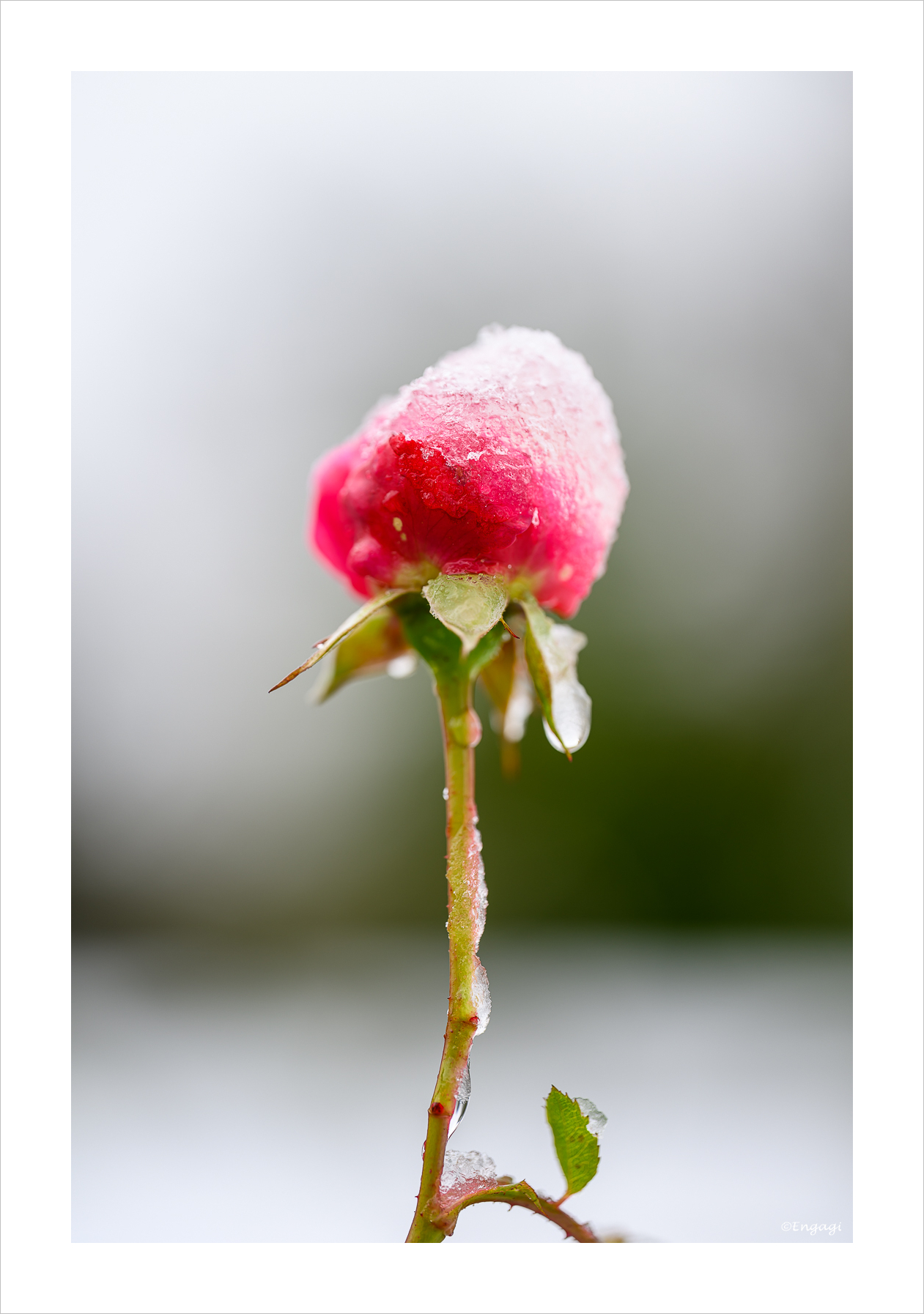 DSC_5788.jpg