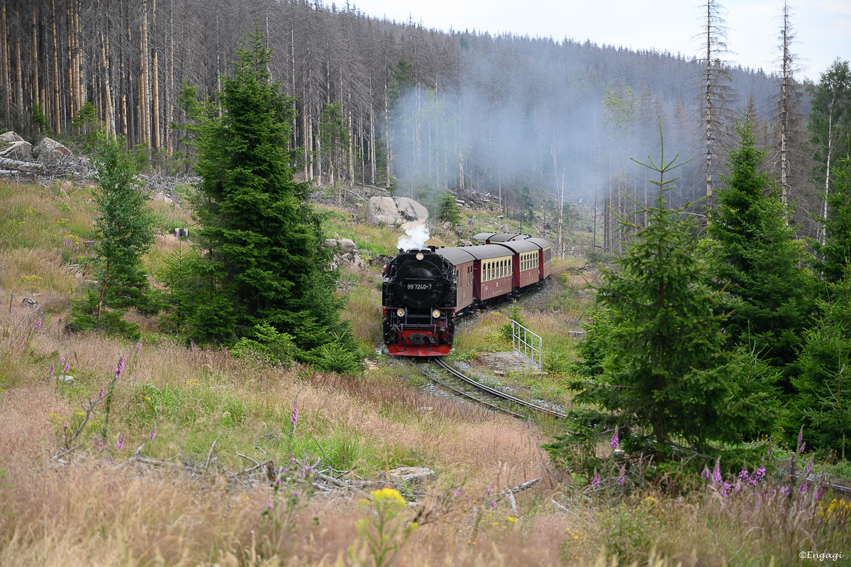 DSC_2173.jpg