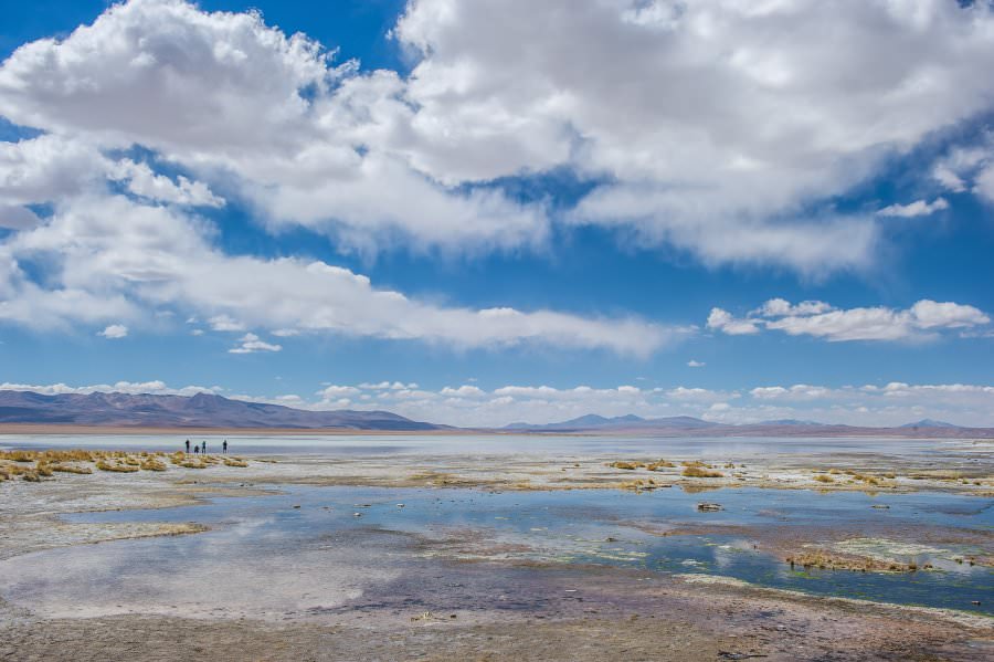 atacama16_025.jpg