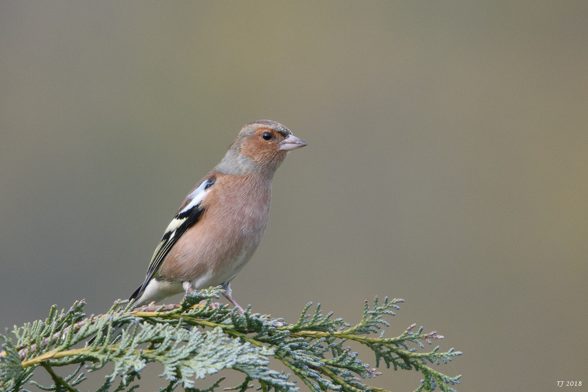 DSC_5712.jpg
