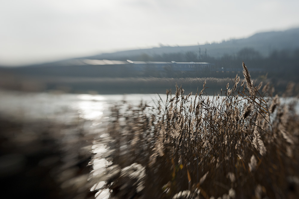 see-lensbaby-34.jpg