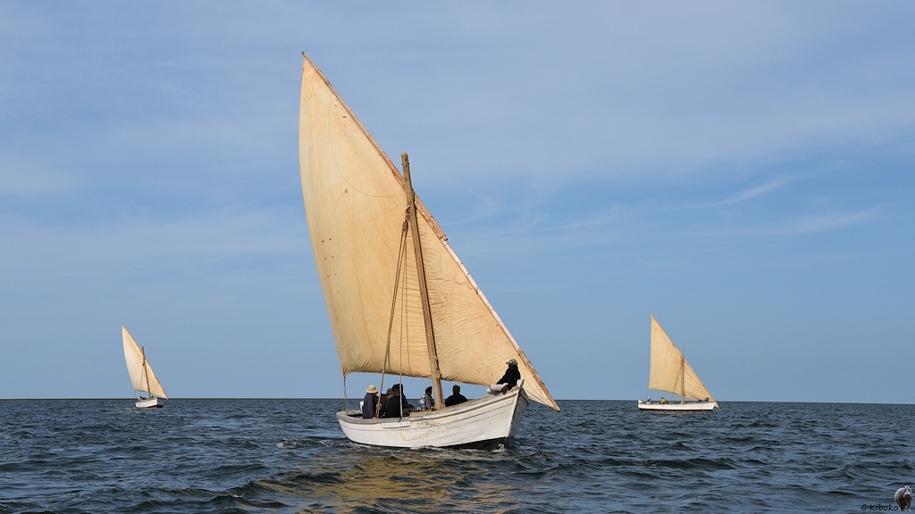 Das Bild zeigt drei weiße Segelboote aus Holz mit einem beigefarbenen Segel von vorn. Das mittlere Boot ist nah und in der Mitte. Die beiden anderen Boote sind weiter hinten.