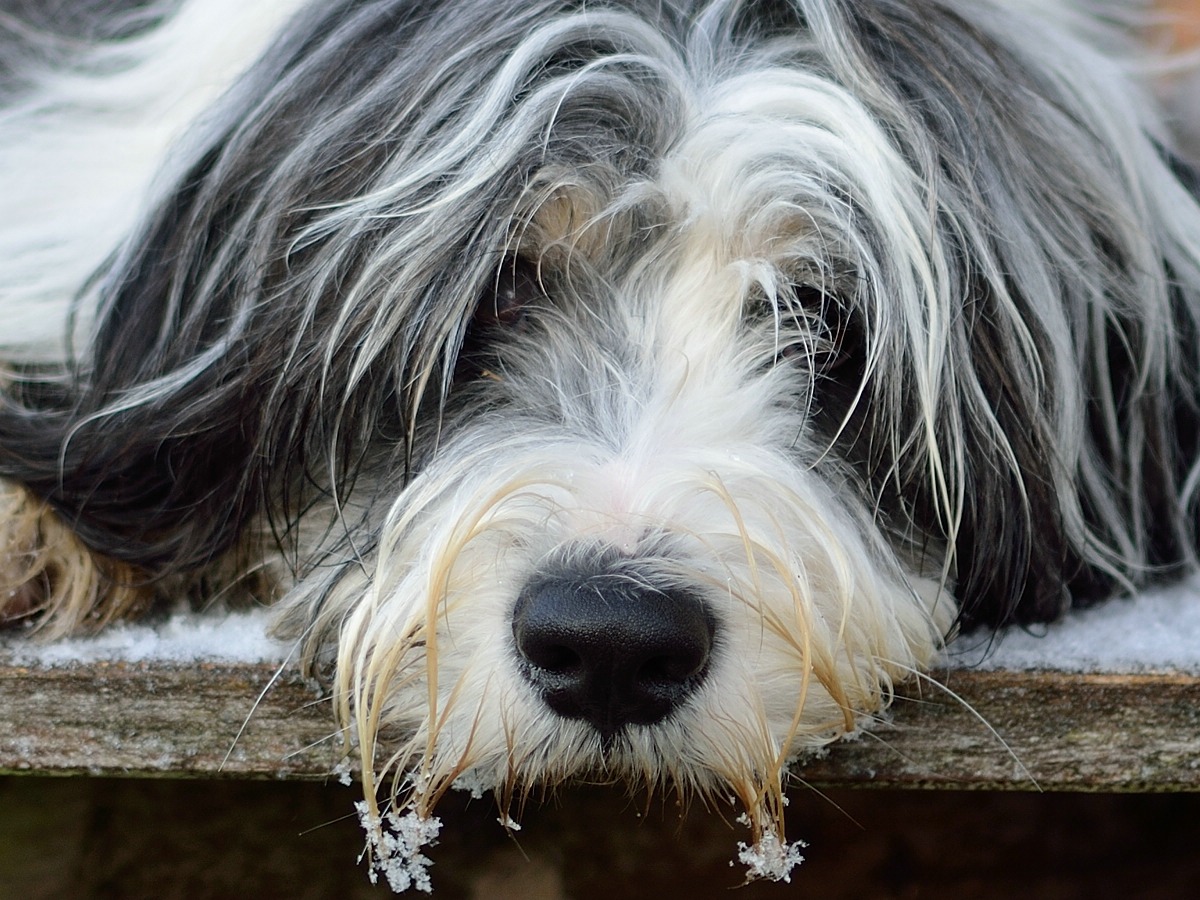 C_DSC_0036.jpg