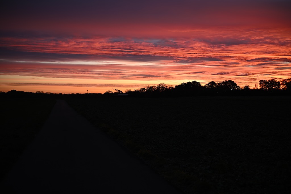 DSC_8734-XL.jpg