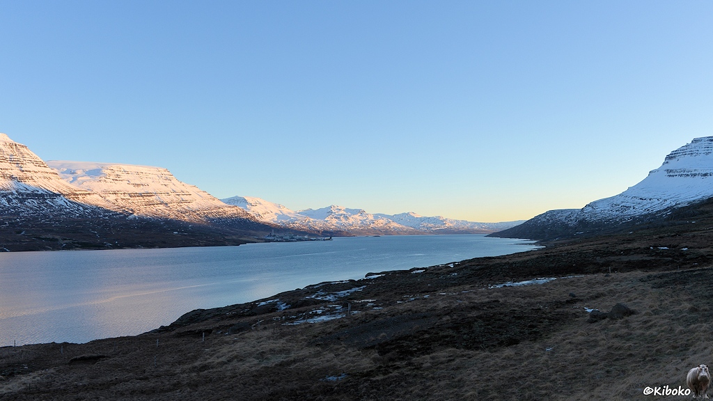 Ein langer, schmaler Fjord ist von beiden Seiten von schneebedeckten Bergen umgeben.