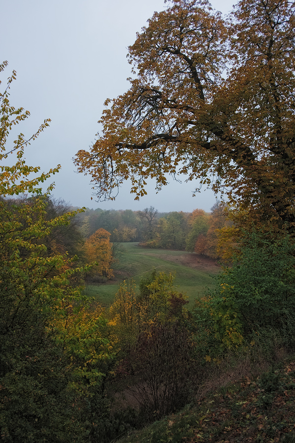 DSCF8351-web.jpg