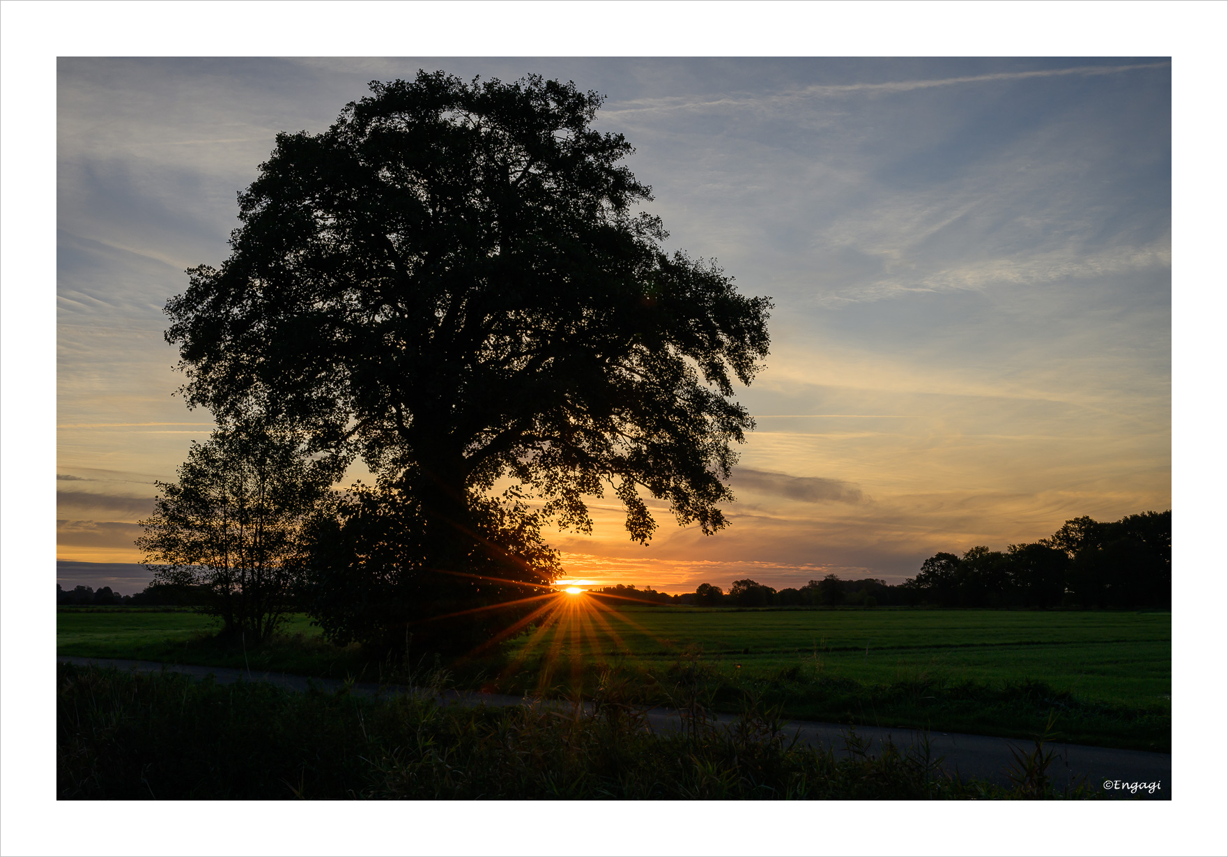 DSC_0241.jpg