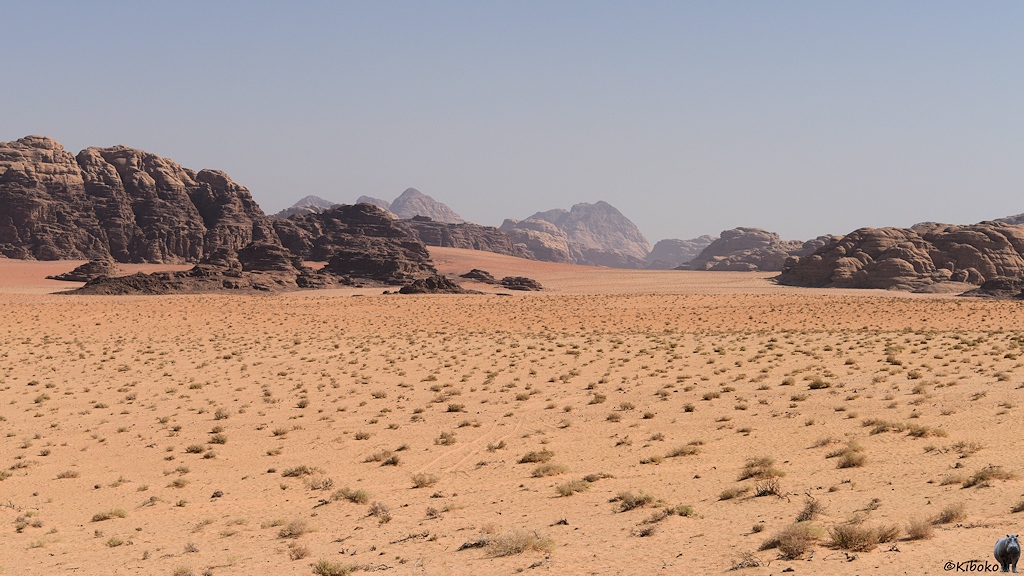 Wüstenlandschaft