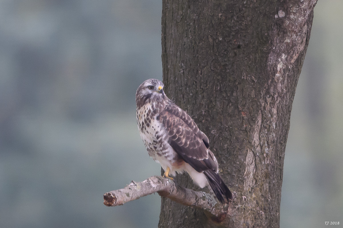 DSC_5587.jpg