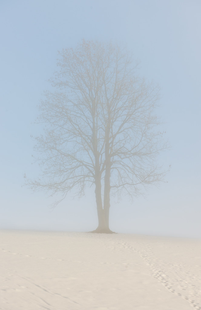 11955044504_292d630390_b.jpg